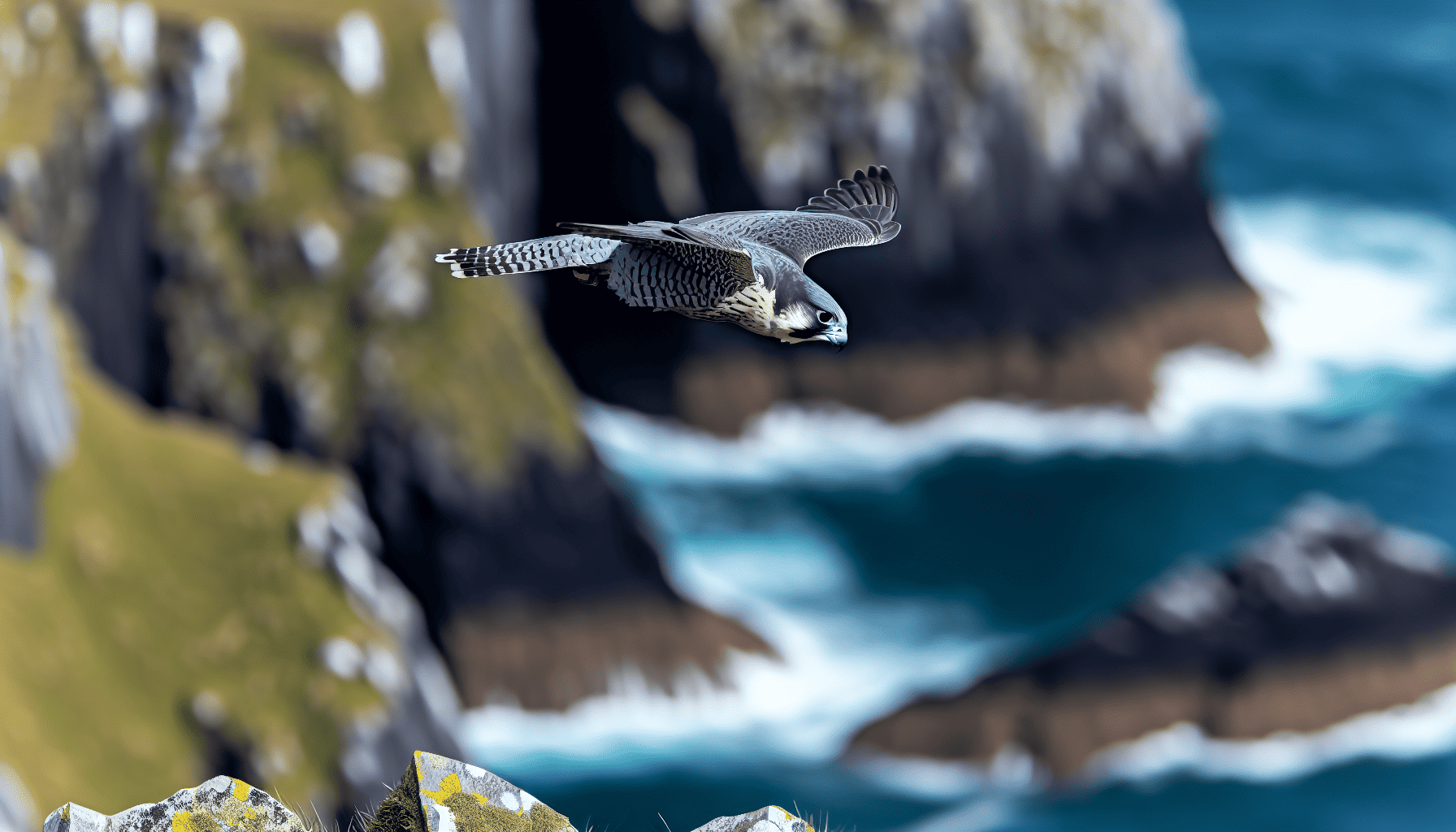 Key Species